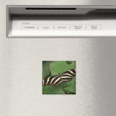 Zebra langwerpige vlindermagneet magneet (Insitu (Vaatwasser))