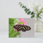 Zebra langwerpvlinder briefkaart (Staand voorkant)