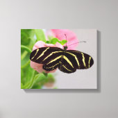 Zebra langwerpvlinder canvas afdruk (Voorkant)
