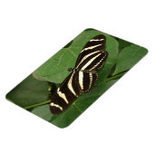 Zebra Langwerpvlinder Flexi Magnet Magneet (Linkerzijde)