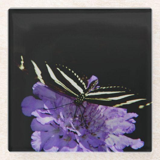 Zebra langwerpvlinder glazen onderzetter (Voorkant)