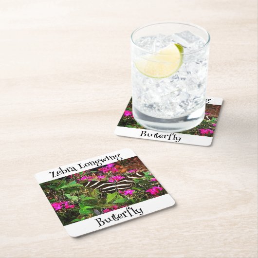 Zebra langwerpvlinder kartonnen onderzetters (Insitu)