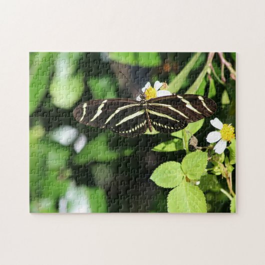 Zebra langwerpvlinder legpuzzel (Horizontaal)