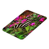 Zebra langwerpvlinder magneet (Linkerzijde)