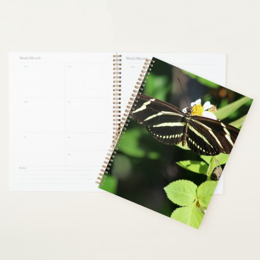 Zebra langwerpvlinder planner (Display)