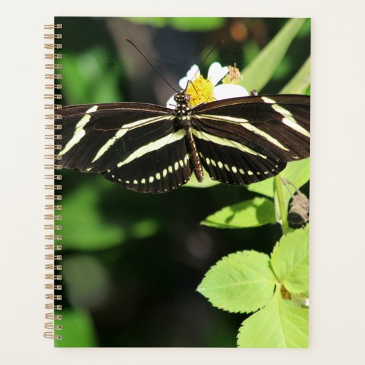 Zebra langwerpvlinder planner (Voorkant)