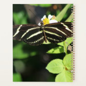 Zebra langwerpvlinder planner (Achterkant)