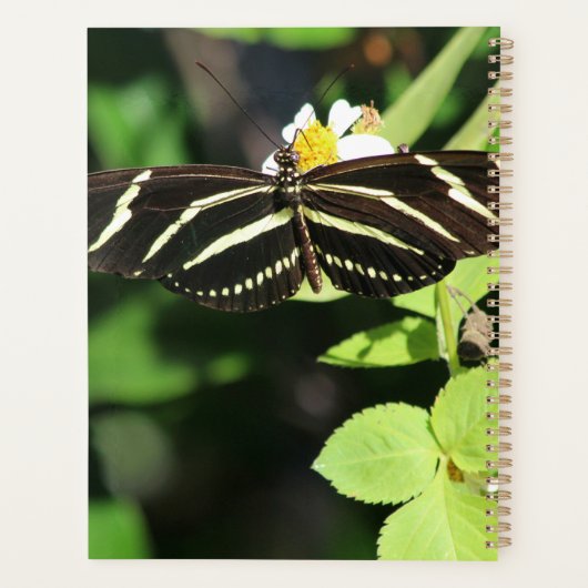 Zebra langwerpvlinder planner (Achterkant)