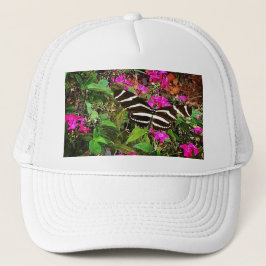 Zebra langwerpvlinder trucker pet