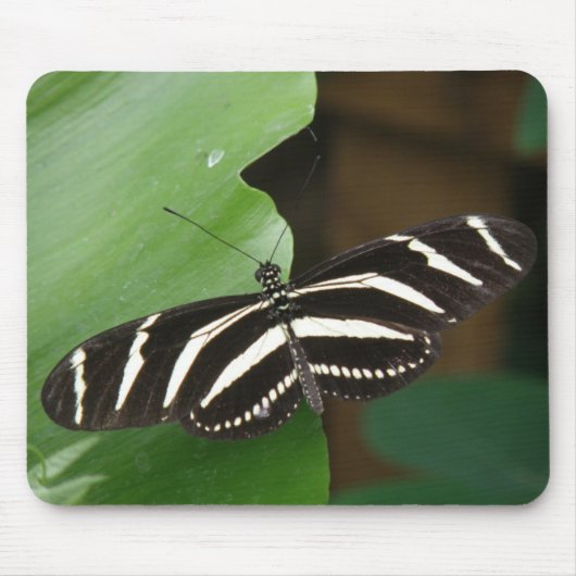 Zebra langwerpvlindermousepad Muismat (Voorkant)