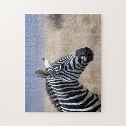 Zebra Legpuzzel (Verticaal)