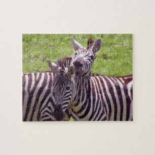 Zebra Legpuzzel