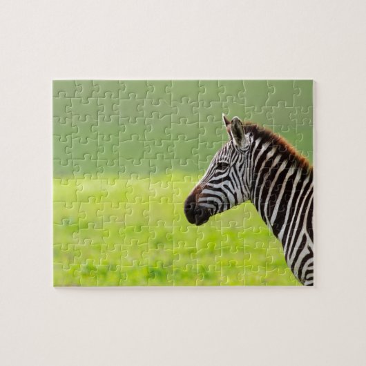 Zebra Legpuzzel (Horizontaal)