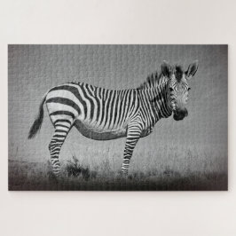 Zebra Legpuzzel