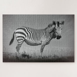 Zebra Legpuzzel