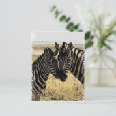 ZEBRA LIEFT BRIEFKAART (Staand voorkant)