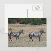 zebra lijnen briefkaart (Voorkant / Achterkant)