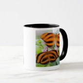 Zebra Long Wing Butterfly 2 Mok (Voorkant rechts)