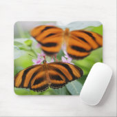 Zebra Long Wing Butterfly 2 Muismat (Met muis)