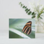 Zebra Long Wing Butterfly Briefkaart (Staand voorkant)