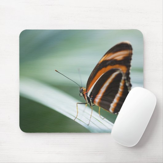 Zebra Long Wing Butterfly Muismat (Met muis)