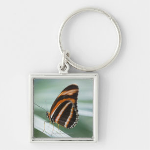 Zebra Long Wing Butterfly Sleutelhanger