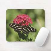 Zebra-longvlinder, Heliconius Muismat (Met muis)