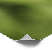 Zebra-longvlinder, Heliconius Poster (Hoek)