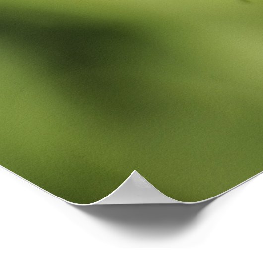 Zebra-longvlinder, Heliconius Poster (Hoek)