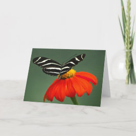 Zebra Longwing Butterfly Blank Wenskaart Bedankkaart