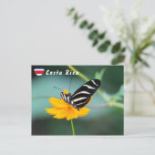 Zebra Longwing Butterfly - Costa Rica Briefkaart (Staand voorkant)