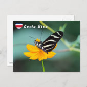 Zebra Longwing Butterfly - Costa Rica Briefkaart (Voorkant / Achterkant)