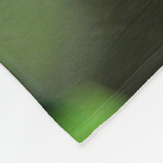 Zebra Longwing Butterfly Fleece Deken (Hoek)