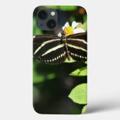 Zebra Longwing Butterfly iPhone hoesjes (Achterkant)