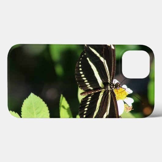 Zebra Longwing Butterfly iPhone hoesjes (Achterkant (horizontaal))