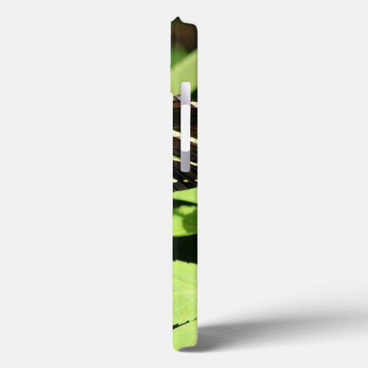 Zebra Longwing Butterfly iPhone hoesjes (Achterkant / Links)