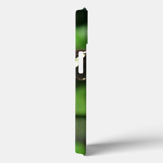 Zebra Longwing Butterfly iPhone hoesjes (Achterkant / Rechts)