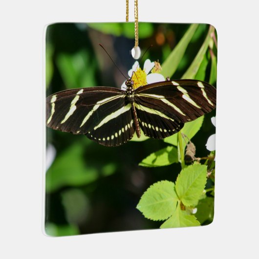 Zebra Longwing Butterfly Keramisch Ornament (Rechts)