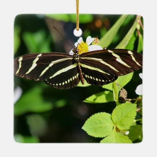 Zebra Longwing Butterfly Keramisch Ornament (Achterkant)