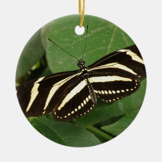 Zebra Longwing Butterfly Ornament (Voorkant)