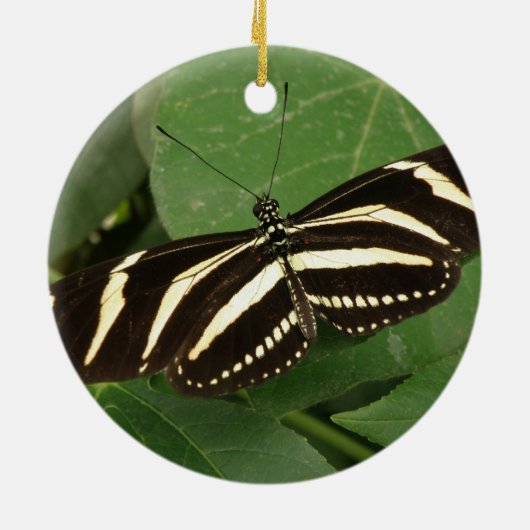 Zebra Longwing Butterfly Ornament (Achterkant)