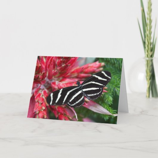 Zebra Longwing Christmas Kaart (Voorkant)