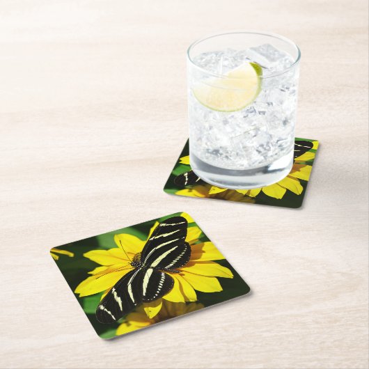 Zebra Longwing Kartonnen Onderzetters (Insitu)