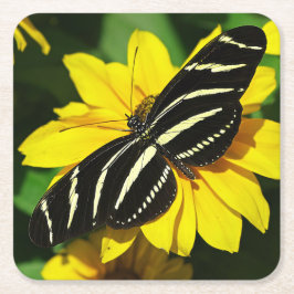 Zebra Longwing Kartonnen Onderzetters