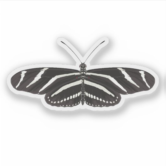 Zebra longwing of zebra heliconian Butterfly Sticker (Voorkant)
