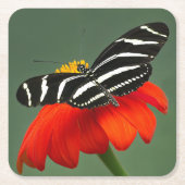 Zebra Longwing op Red Flower Kartonnen Onderzetters (Voorkant)