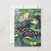 Zebra Longwing Thank You Card Bedankkaart (Voorkant)