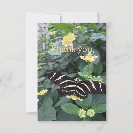 Zebra Longwing Thank You Card Bedankkaart (Voorkant)