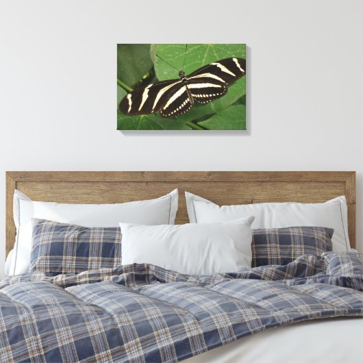Zebra Longwing Vlinder Canvas Print (Insitu (Slaapkamer))