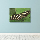 Zebra Longwing Vlinder Canvas Print (Insitu (Houten vloer))